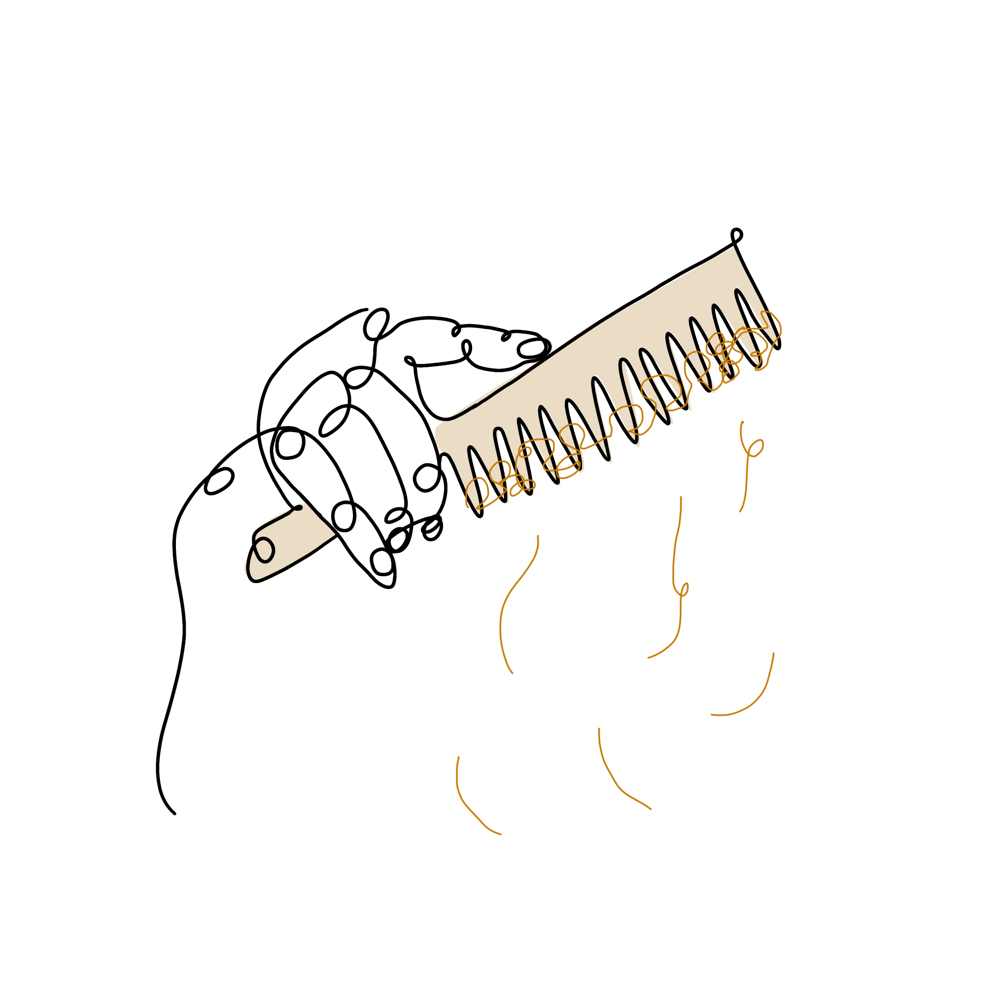 Hair Loss S O S The Hair Routine Hair Loss S O S The Hair Routine